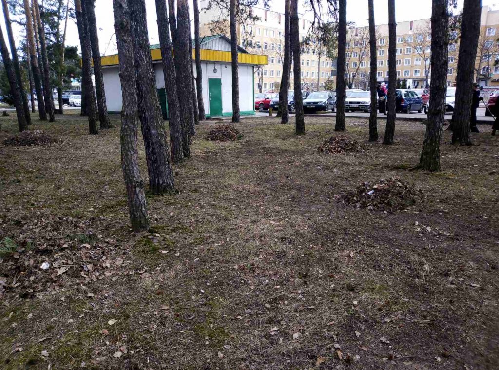 Вместе - наведём порядок!