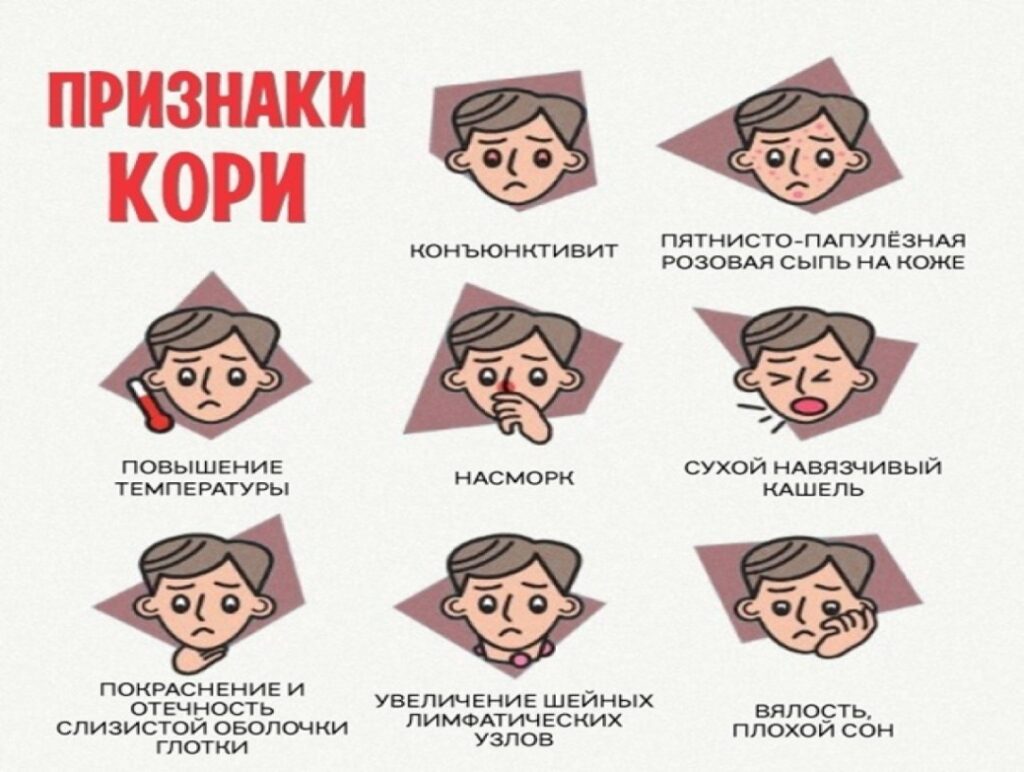 Что нужно знать о кори